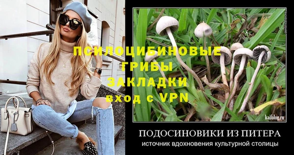 меф Бородино